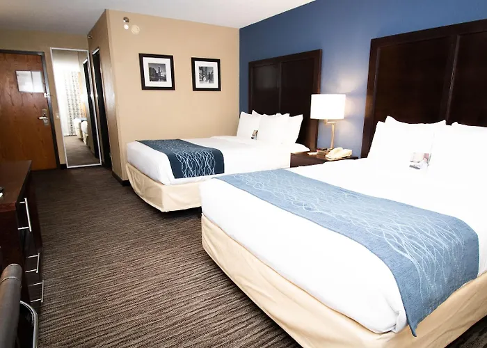 Suburban Elk Grove Hotel 4*