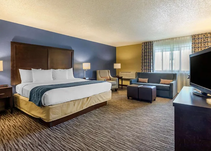 Suburban Elk Grove Hotel 4*