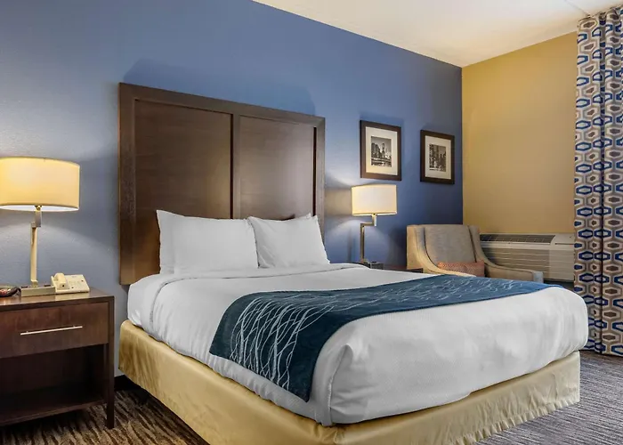 Suburban Elk Grove Hotel Arlington Heights