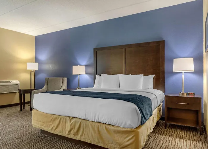 Suburban Elk Grove Hotel