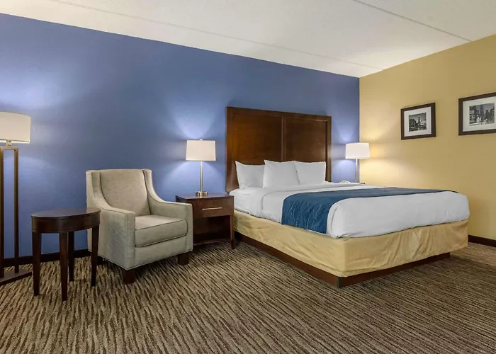 Suburban Elk Grove Hotel 4*
