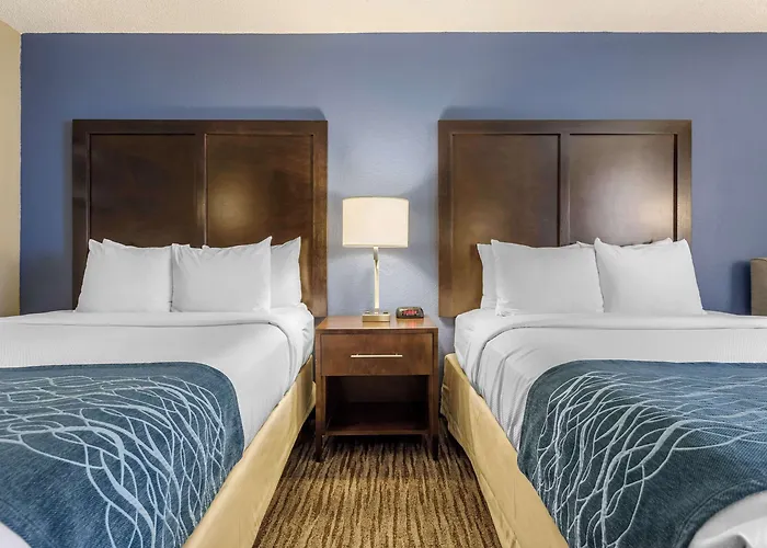 Suburban Elk Grove Hotel 4*