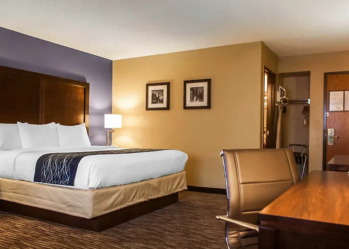 Suburban Elk Grove 4*