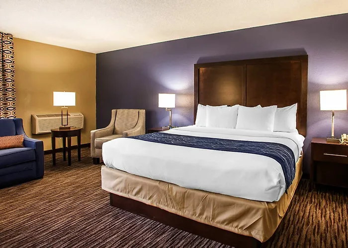 Suburban Elk Grove Hotel Arlington Heights