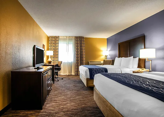 Suburban Elk Grove Hotel 4*